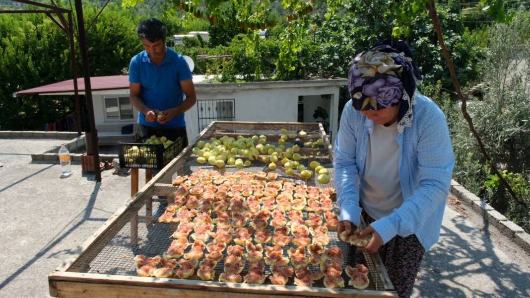 Kilosu 85 liradan satılıyor: Türkiye'nin dört bir yanından siparişe yetişemiyorlar 2